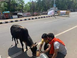 गौ रक्षा व्हाट्सएप ग्रुप लिंक GAU RAKSHA DAL WHATSAPP GROUP